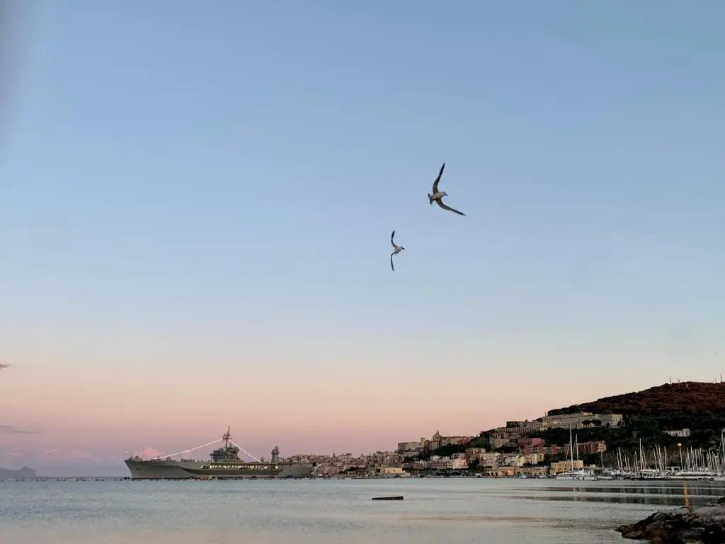 Vico 11